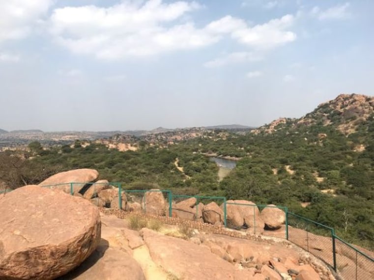 Daroji Sloth Bear Sanctuary-2